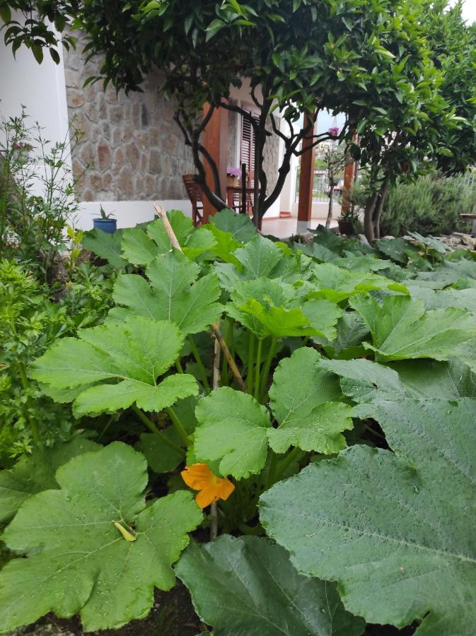 Holiday Home Mennulita Lipari (Isola Lipari) Exterior foto